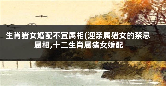 生肖猪女婚配不宜属相(迎亲属猪女的禁忌属相,十二生肖属猪女婚配
