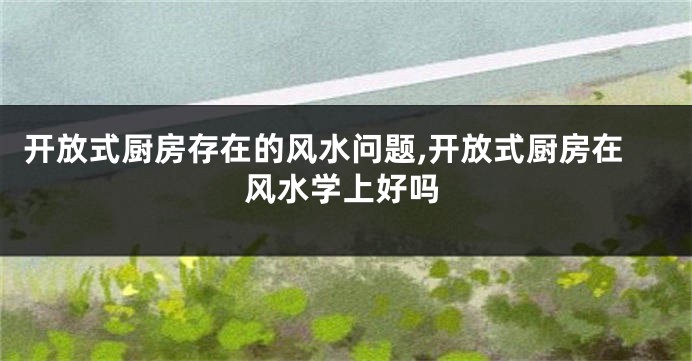 开放式厨房存在的风水问题,开放式厨房在风水学上好吗