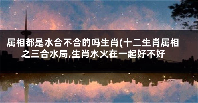 属相都是水合不合的吗生肖(十二生肖属相之三合水局,生肖水火在一起好不好