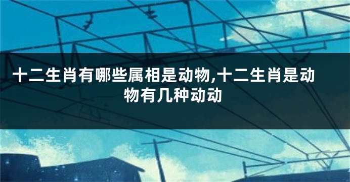 十二生肖有哪些属相是动物,十二生肖是动物有几种动动