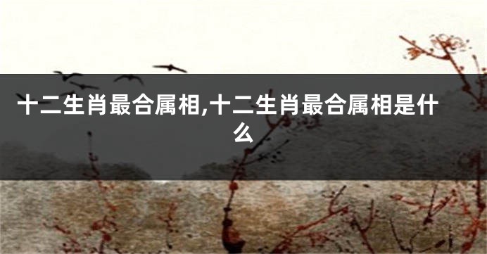 十二生肖最合属相,十二生肖最合属相是什么