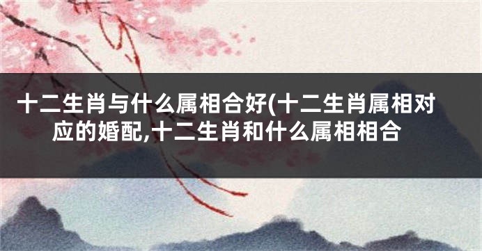 十二生肖与什么属相合好(十二生肖属相对应的婚配,十二生肖和什么属相相合