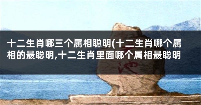 十二生肖哪三个属相聪明(十二生肖哪个属相的最聪明,十二生肖里面哪个属相最聪明