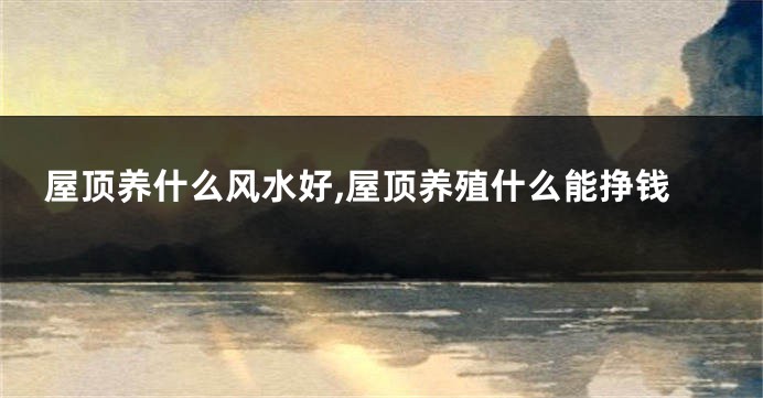 屋顶养什么风水好,屋顶养殖什么能挣钱