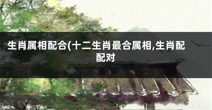 生肖属相配合(十二生肖最合属相,生肖配配对