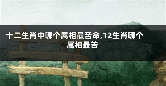 十二生肖中哪个属相最苦命,12生肖哪个属相最苦