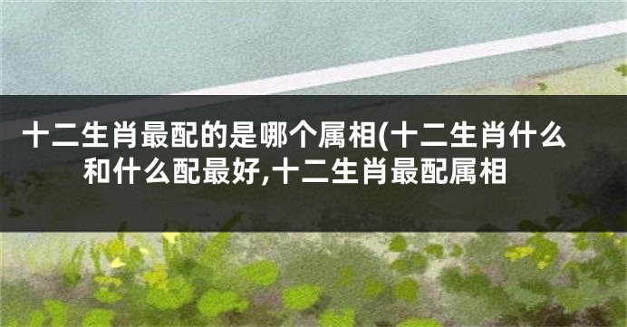十二生肖最配的是哪个属相(十二生肖什么和什么配最好,十二生肖最配属相