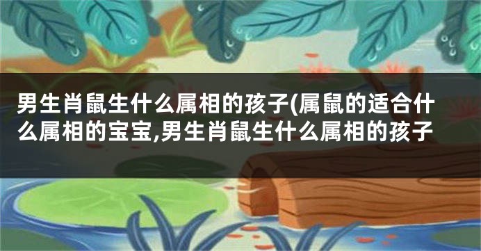 男生肖鼠生什么属相的孩子(属鼠的适合什么属相的宝宝,男生肖鼠生什么属相的孩子
