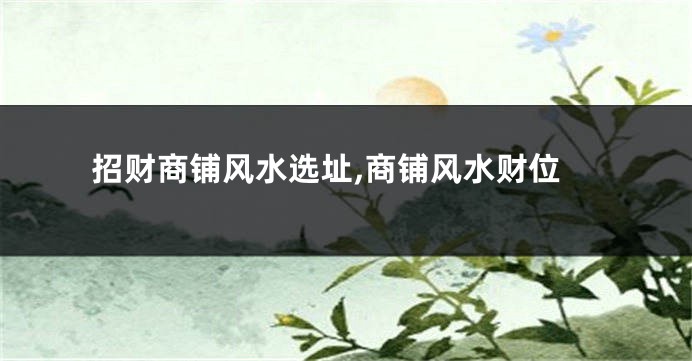 招财商铺风水选址,商铺风水财位