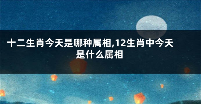 十二生肖今天是哪种属相,12生肖中今天是什么属相