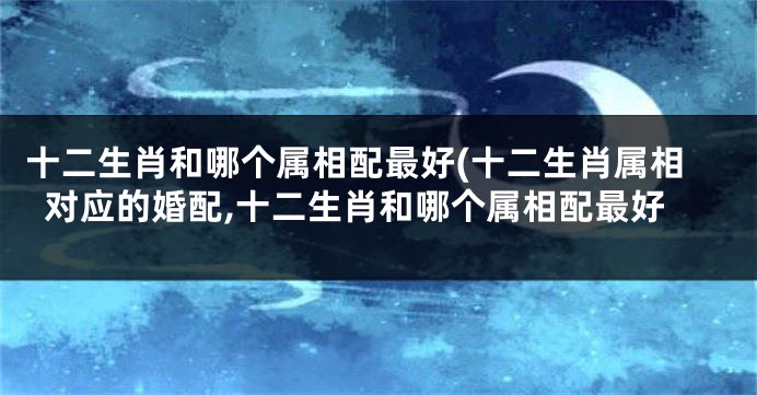 十二生肖和哪个属相配最好(十二生肖属相对应的婚配,十二生肖和哪个属相配最好