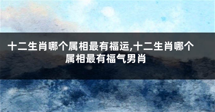 十二生肖哪个属相最有福运,十二生肖哪个属相最有福气男肖