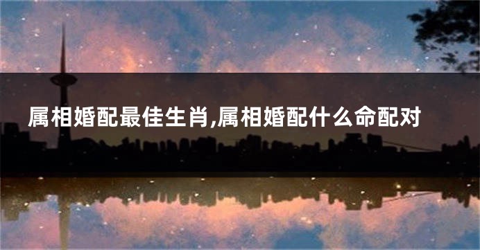 属相婚配最佳生肖,属相婚配什么命配对