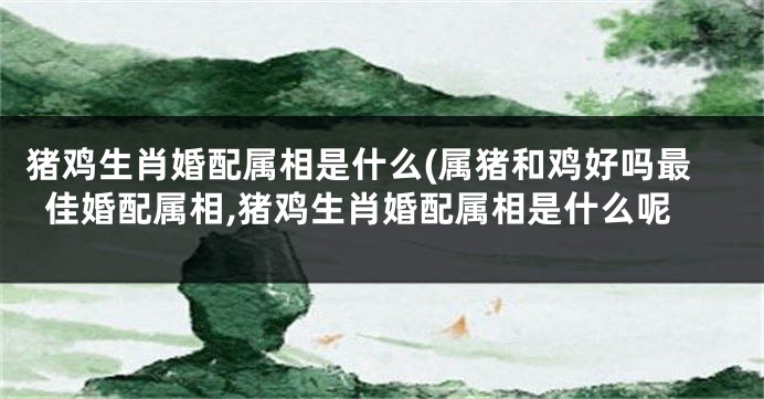 猪鸡生肖婚配属相是什么(属猪和鸡好吗最佳婚配属相,猪鸡生肖婚配属相是什么呢