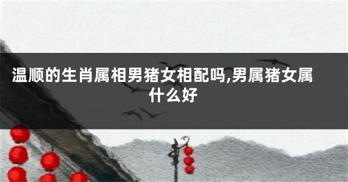 温顺的生肖属相男猪女相配吗,男属猪女属什么好