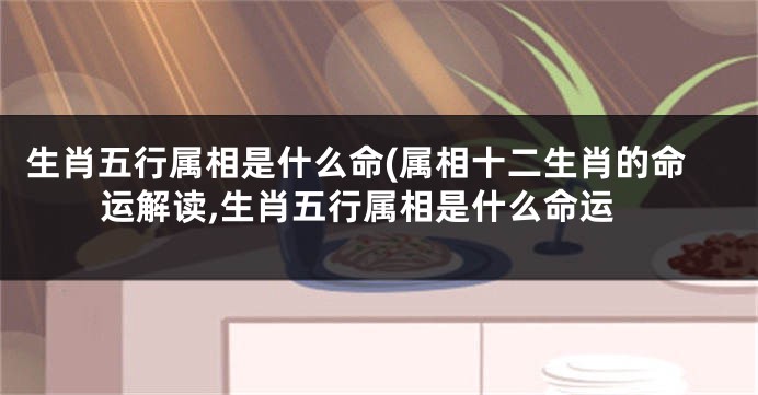 生肖五行属相是什么命(属相十二生肖的命运解读,生肖五行属相是什么命运
