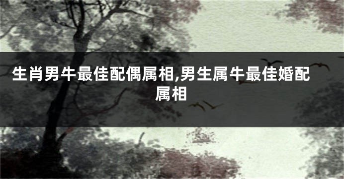 生肖男牛最佳配偶属相,男生属牛最佳婚配属相