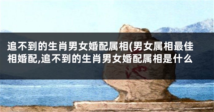 追不到的生肖男女婚配属相(男女属相最佳相婚配,追不到的生肖男女婚配属相是什么
