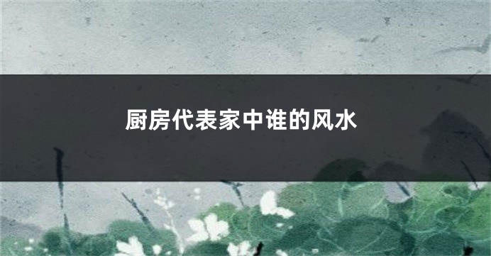 厨房代表家中谁的风水