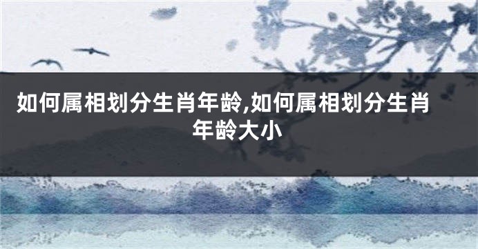 如何属相划分生肖年龄,如何属相划分生肖年龄大小