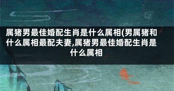 属猪男最佳婚配生肖是什么属相(男属猪和什么属相最配夫妻,属猪男最佳婚配生肖是什么属相