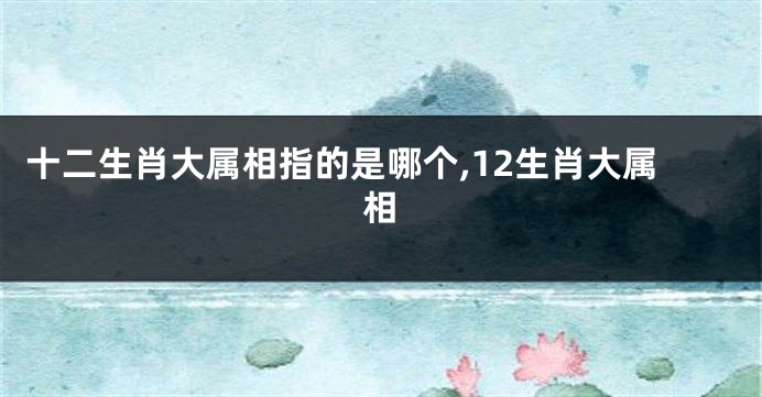 十二生肖大属相指的是哪个,12生肖大属相