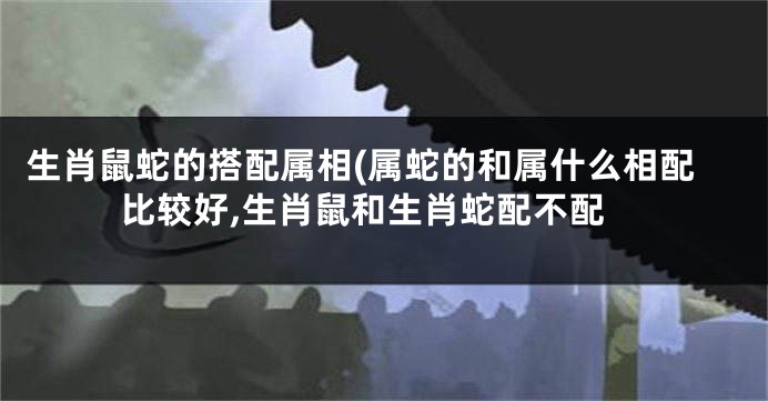 生肖鼠蛇的搭配属相(属蛇的和属什么相配比较好,生肖鼠和生肖蛇配不配