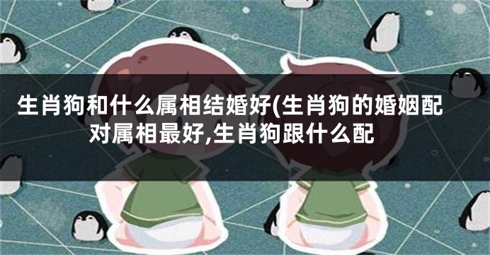 生肖狗和什么属相结婚好(生肖狗的婚姻配对属相最好,生肖狗跟什么配