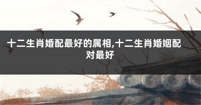 十二生肖婚配最好的属相,十二生肖婚姻配对最好