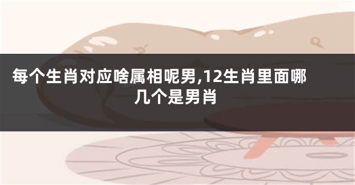 每个生肖对应啥属相呢男,12生肖里面哪几个是男肖