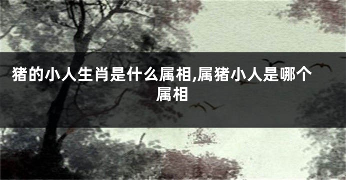 猪的小人生肖是什么属相,属猪小人是哪个属相