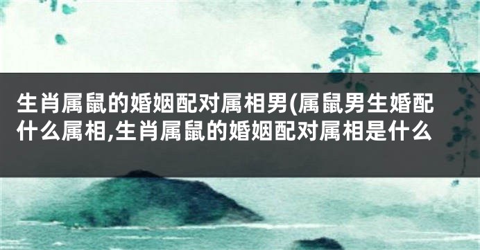 生肖属鼠的婚姻配对属相男(属鼠男生婚配什么属相,生肖属鼠的婚姻配对属相是什么