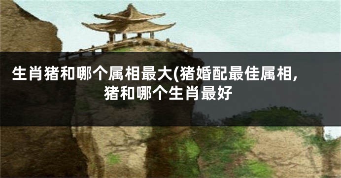 生肖猪和哪个属相最大(猪婚配最佳属相,猪和哪个生肖最好