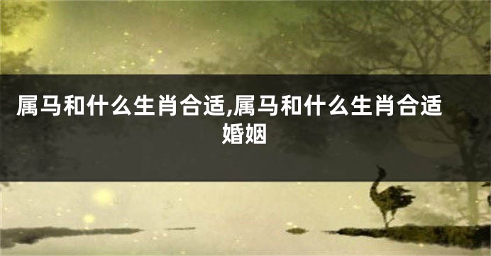 属马和什么生肖合适,属马和什么生肖合适婚姻