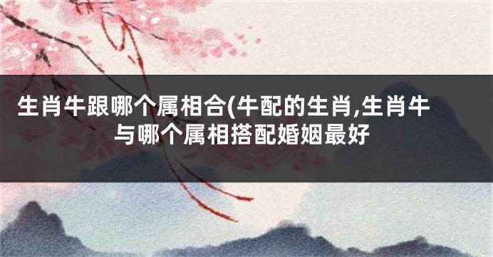 生肖牛跟哪个属相合(牛配的生肖,生肖牛与哪个属相搭配婚姻最好