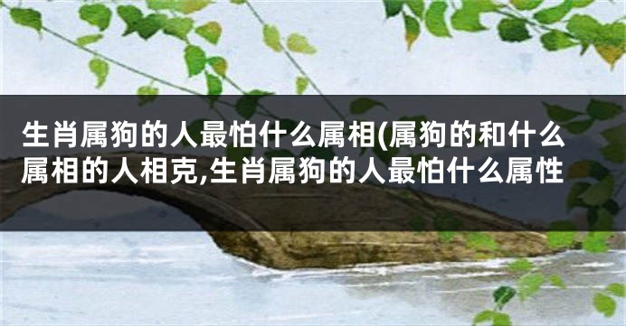 生肖属狗的人最怕什么属相(属狗的和什么属相的人相克,生肖属狗的人最怕什么属性
