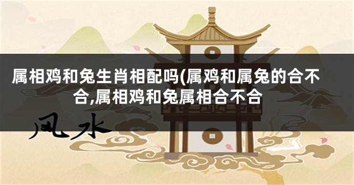 属相鸡和兔生肖相配吗(属鸡和属兔的合不合,属相鸡和兔属相合不合