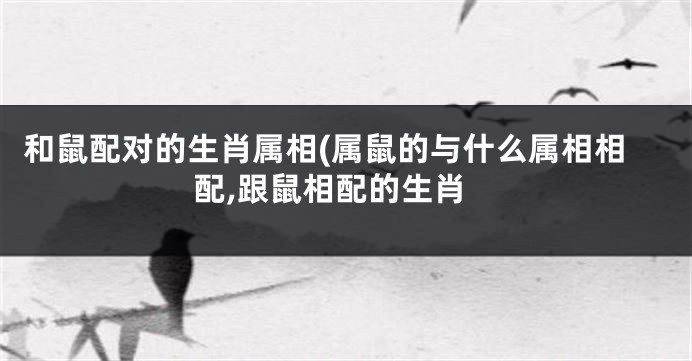 和鼠配对的生肖属相(属鼠的与什么属相相配,跟鼠相配的生肖