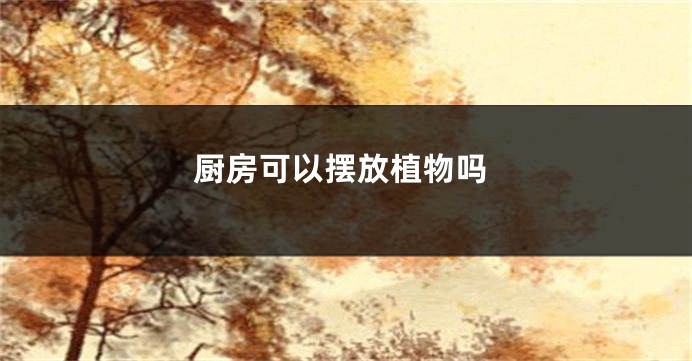 厨房可以摆放植物吗
