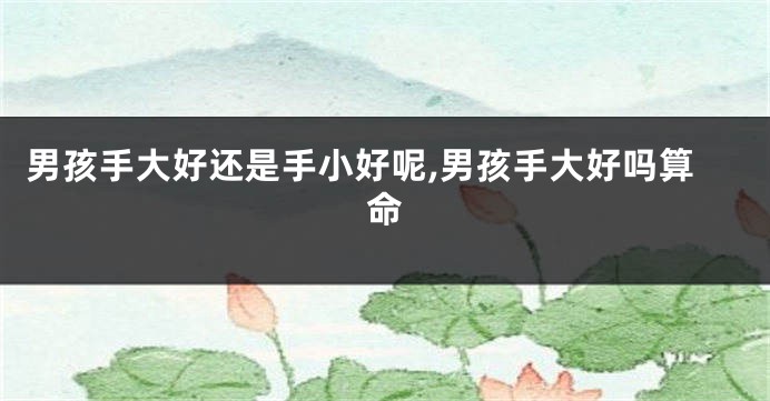 男孩手大好还是手小好呢,男孩手大好吗算命