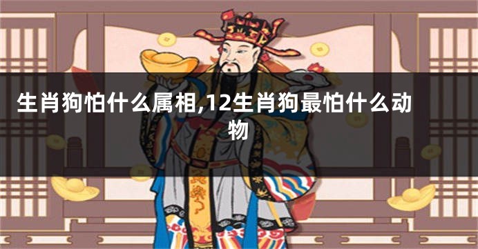 生肖狗怕什么属相,12生肖狗最怕什么动物