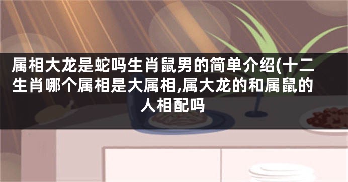 属相大龙是蛇吗生肖鼠男的简单介绍(十二生肖哪个属相是大属相,属大龙的和属鼠的人相配吗