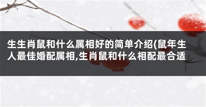生生肖鼠和什么属相好的简单介绍(鼠年生人最佳婚配属相,生肖鼠和什么相配最合适