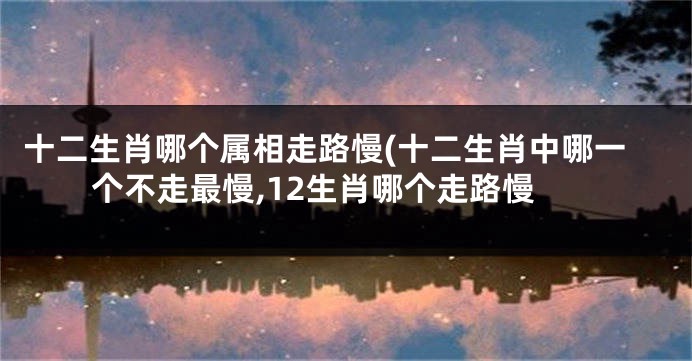 十二生肖哪个属相走路慢(十二生肖中哪一个不走最慢,12生肖哪个走路慢