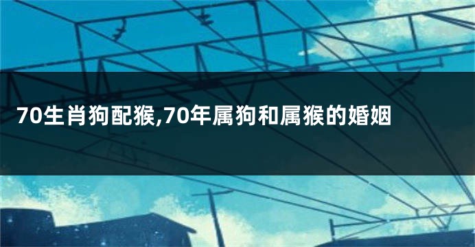 70生肖狗配猴,70年属狗和属猴的婚姻