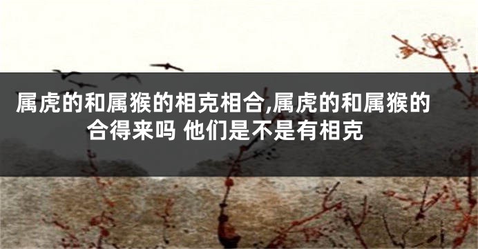属虎的和属猴的相克相合,属虎的和属猴的合得来吗 他们是不是有相克