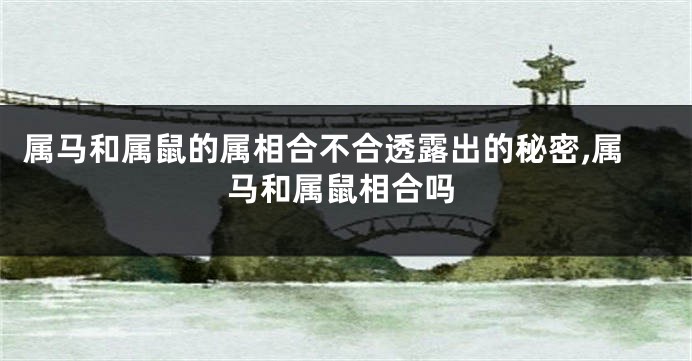 属马和属鼠的属相合不合透露出的秘密,属马和属鼠相合吗