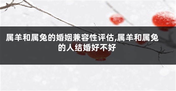 属羊和属兔的婚姻兼容性评估,属羊和属兔的人结婚好不好