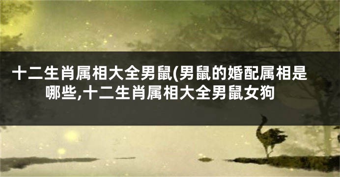 十二生肖属相大全男鼠(男鼠的婚配属相是哪些,十二生肖属相大全男鼠女狗