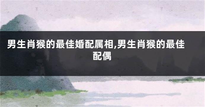 男生肖猴的最佳婚配属相,男生肖猴的最佳配偶